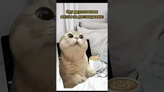 Забыл выключить микрофон😱 Пародия на @Danya_rodnoy 