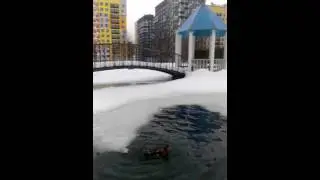 В открытом море.