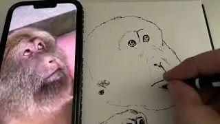 ASMR Xing Xing Drawing