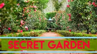 Secrets of the nature| Beauty Of Hill |