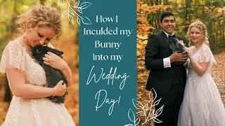 How to Include your Pet into your Wedding Day! Bunny Edition