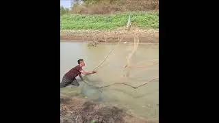 បង់សំណាញ់.យកត្រី.ធម្មជាតិ ស្រុកស្រែ.ជាតិណាស់
