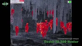 Тепловизионный прицел Дедал Т2 380 Hunter | Магазин ALLAMMO.RU