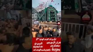 Shahdat imam Hassan a.s