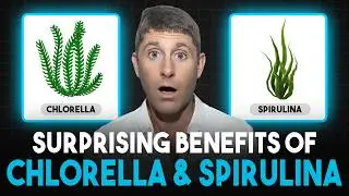 Why Spirulina and Chlorella Algae Are Good For You