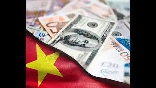 Comprehensive Guide to Vietnam's Foreign Exchange Management Regulations