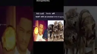 Discord Memes