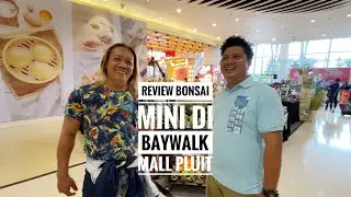 VIDEO #104 REVIEW HARGA BONSAI MINI DI BAYWALK MALL PLUIT