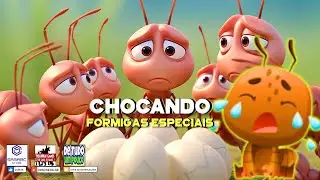 CHOCANDO FORMIGAS ESPECIAIS
