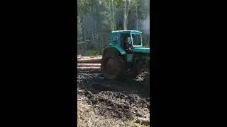 Работа трактора в лесу