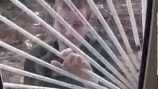 Алкаши буянят