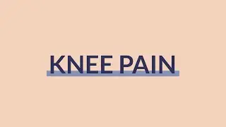 Knee Pain: Flexion-extension sitting | Patient Physio