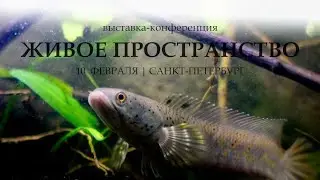 Конференция живое пространство. г. Санкт-Петербург