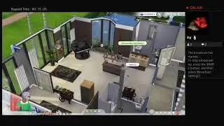 Try to make sander sides  in the sims 4