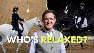 The Horse Doesn't Care About Your Philosophy