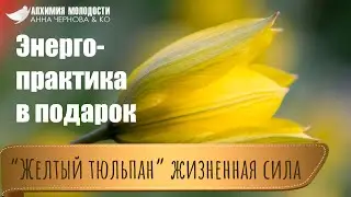 Медитация 