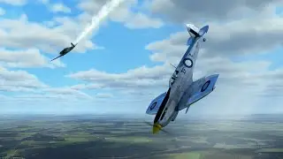 IL-2 BoX: a short story of success
