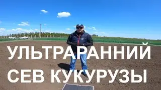 УЛЬТРАРАННИЙ СЕВ КУКУРУЗЫ