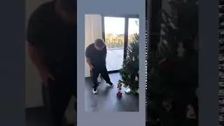 Дарина Эрвин показала, как Александр Цекало украшает елку