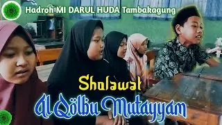 Al Qolbu Mutayyam | Habsy MI DARUL HUDA