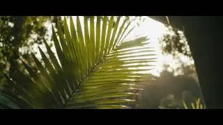 SHORT A7SII CINEMATIC TEST