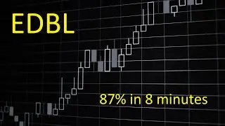 May 15, 2024 - EDBL - Price action (T/S, Level 2, 5 min, 1 min, 10 second charts)