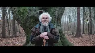 Europas Wildnis - Jasmunds 