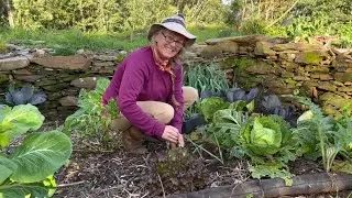 Planting Perennial Vegetables | Plants for Self-Sufficiency