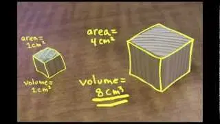 Small is Mighty: the Square-Cube Law