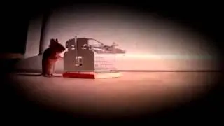 Fare kapanı komik video ★ Mousetrap funny video 2015
