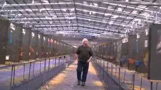 Poultry Show 2