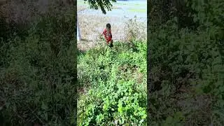 একটুর জন্য বেছে গেলো তেতাল্লিশ  রুপানি