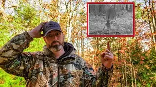 Vermont Rifle Season Scouting - BIG BUCK On Camera