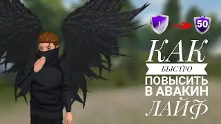 КАК БЫСТРО ПОВЫСИТЬ УРОВЕНЬ В АВАКИН ЛАЙФ | 5 СПОСОБОВ