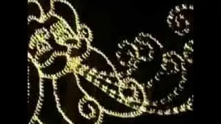 Christmas lights Newport News Va.