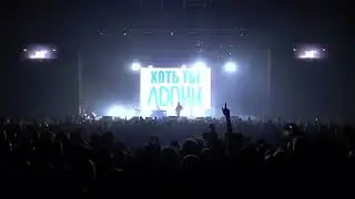 DK – Я смотрю аниме Live
