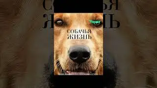 13 сентября 2023 г.