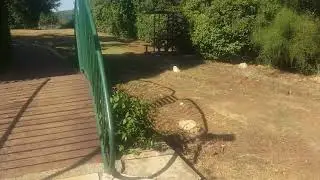 смотрим город маалот
