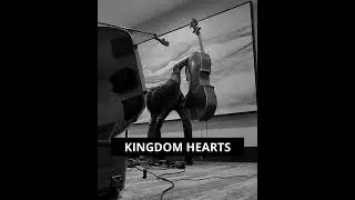 kingdom hearts (cover)