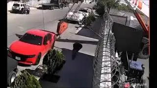 Khi thần chết ngủ quên