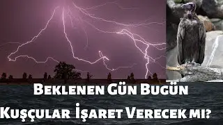 Altının Gramı Her Şekilde 2800 TL Karanti,  Yaşasın Geldi Nihayet Öleceksek Şanlı Şöhretli Ölelim