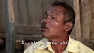 Every day, Man plants trees in same spot. 37 years later, his masterpiece takes our breath away!