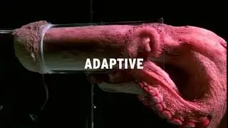 Yo!Kart - Adaptive, Dynamic, & Responsive User-Interface for All Devices