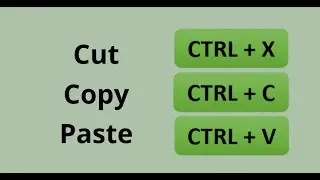 M2L5 PasteSpecial