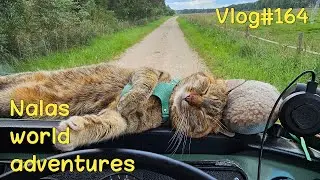 Hello Latvia 🇱🇻 🐎 Vlog #164