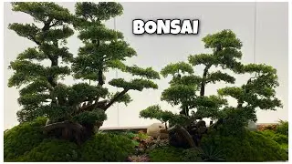 ARTIFICIAL BONSAI LANDSCAPE | ELL AITCH OFFICIAL