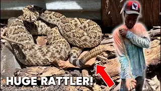 Exploring Abandoned Farm for Venomous Snakes in Austin, Texas!