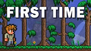 I finally tried Terraria