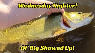Wednesday Nighter Giants!