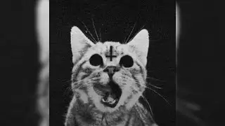 FREE Trap Sample Pack "Catanist Vol. 1" | Trap, Drill, Rap, Hip-Hop Samples